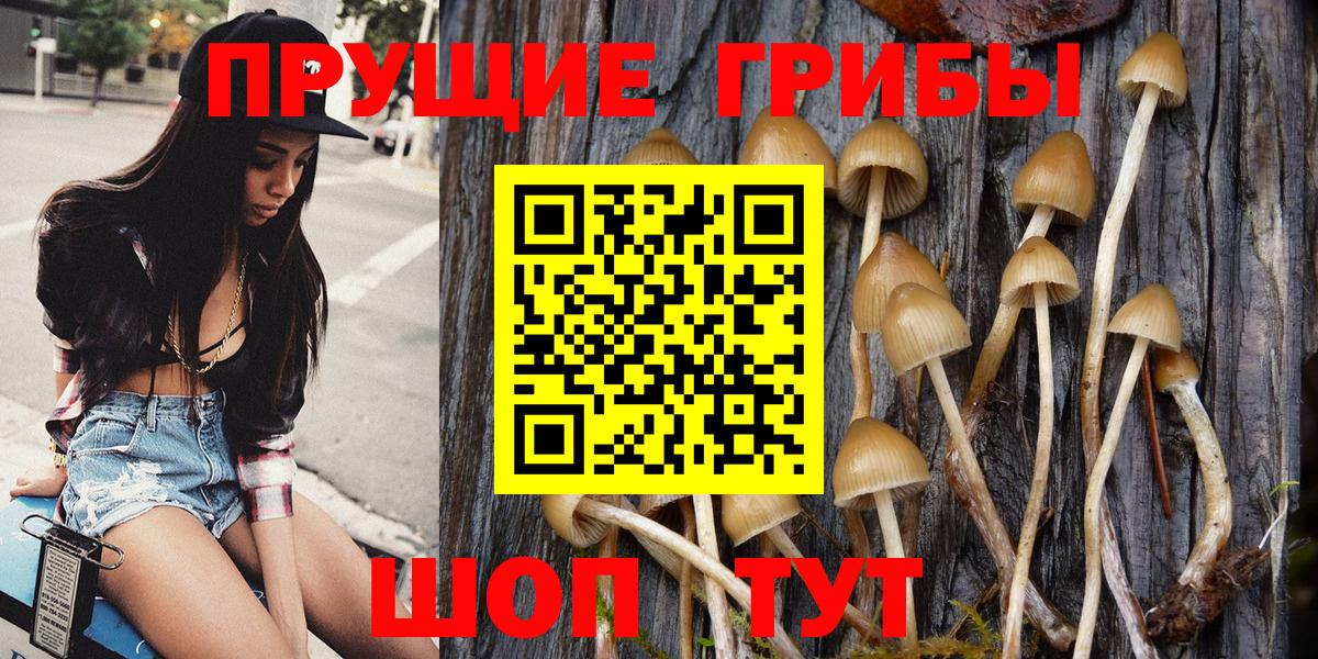 Псилоцибиновые грибы GOLDEN TEACHER  Галлюциногенные грибы Cubensis  Ирбит  Вход с VPN 